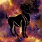 01-aries-120.jpg