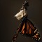 transformation-outward.jpg