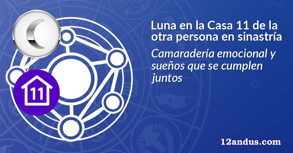 Luna en la Casa 11 de la otra persona en sinastría