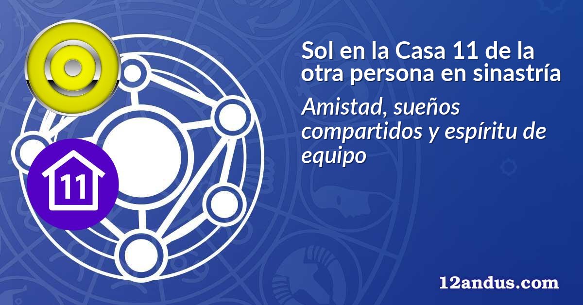 Sol en la Casa 11 de la otra persona en sinastría