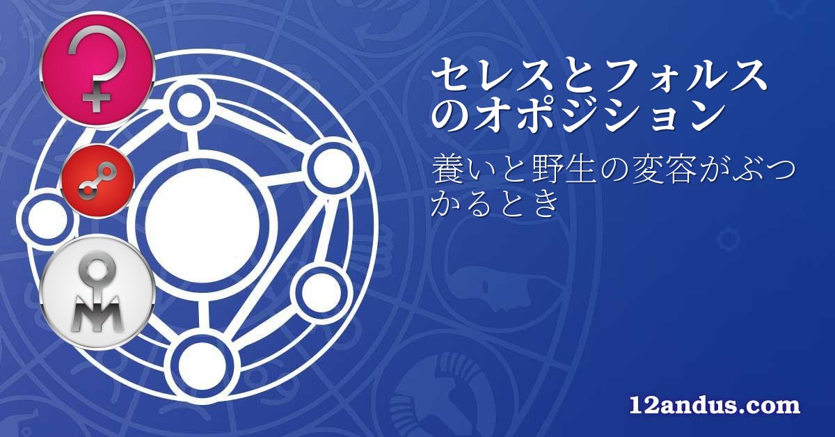 セレスとフォルスのオポジション