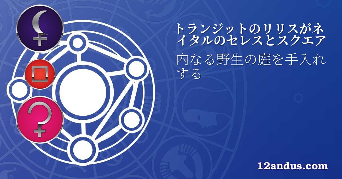 トランジットのリリスがネイタルのセレスとスクエア