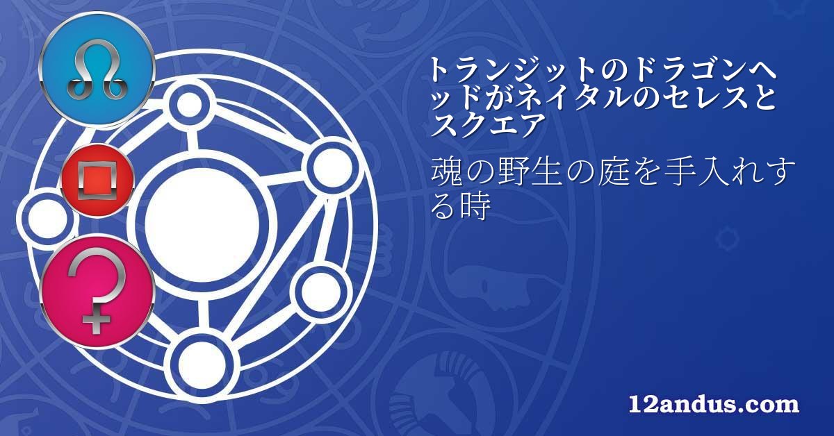 トランジットのドラゴンヘッドがネイタルのセレスとスクエア
