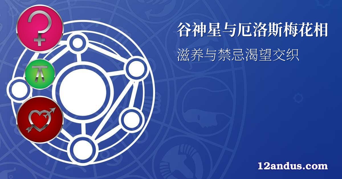 谷神星与厄洛斯梅花相