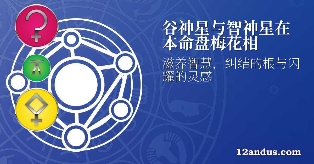 谷神星与智神星在本命盘梅花相