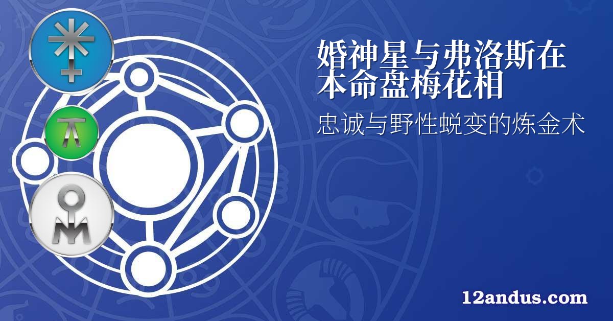 婚神星与弗洛斯在本命盘梅花相
