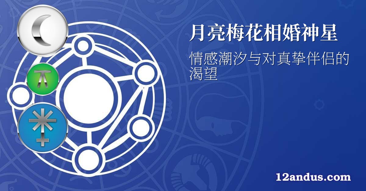 月亮梅花相婚神星
