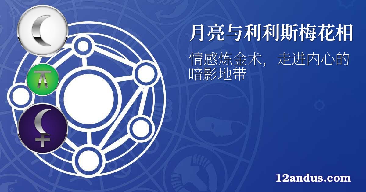 月亮与利利斯梅花相