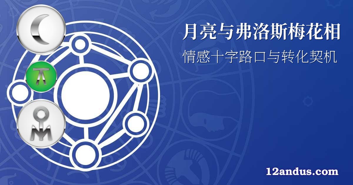 月亮与弗洛斯梅花相