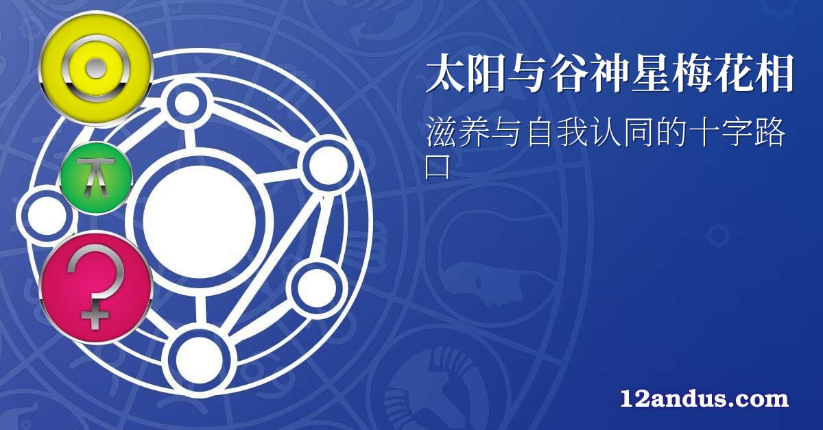 太阳与谷神星梅花相