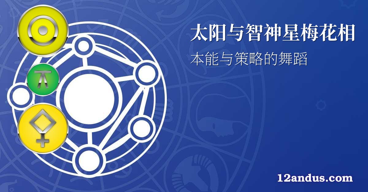 太阳与智神星梅花相