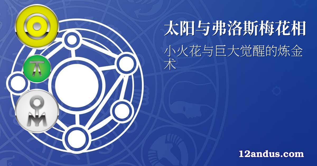 太阳与弗洛斯梅花相