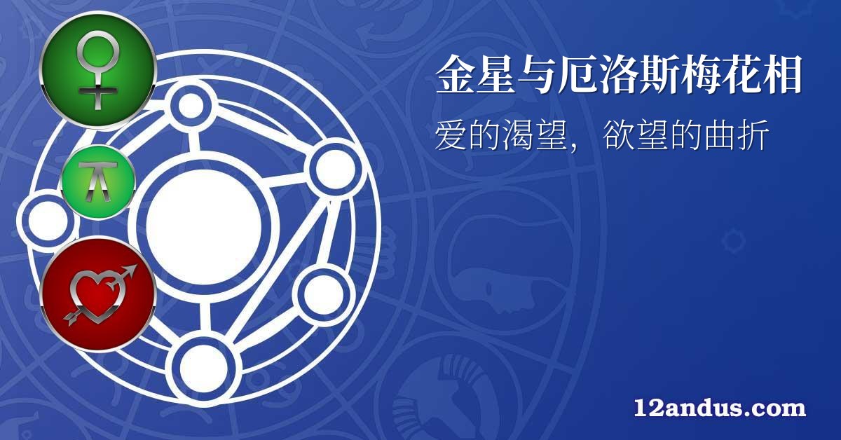 金星与厄洛斯梅花相