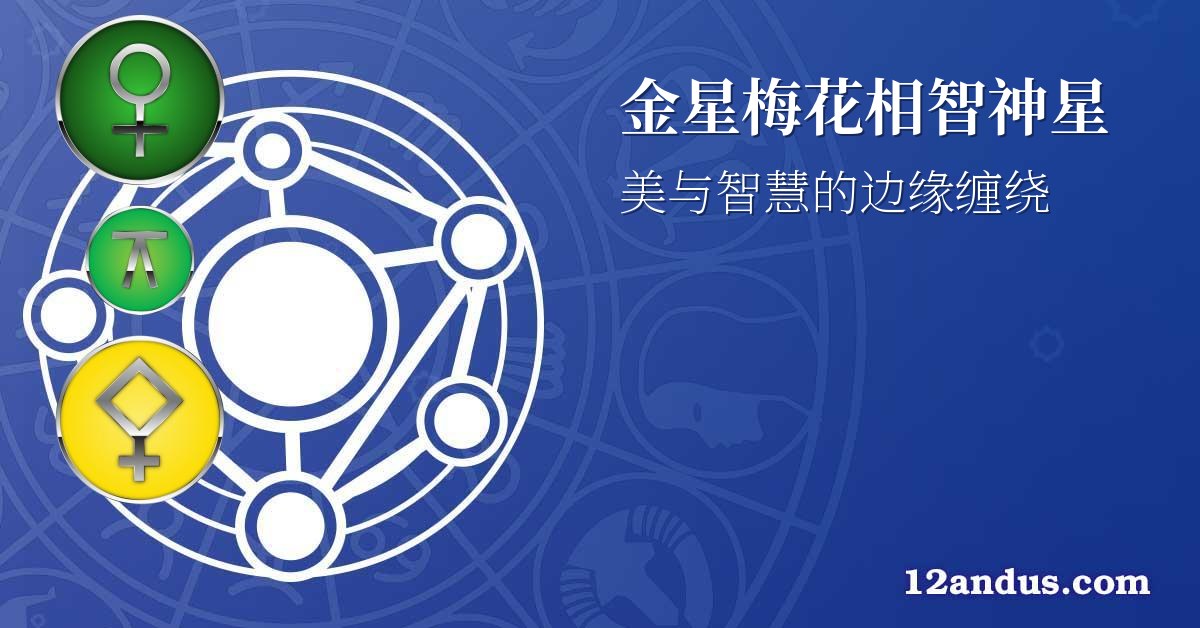 金星梅花相智神星