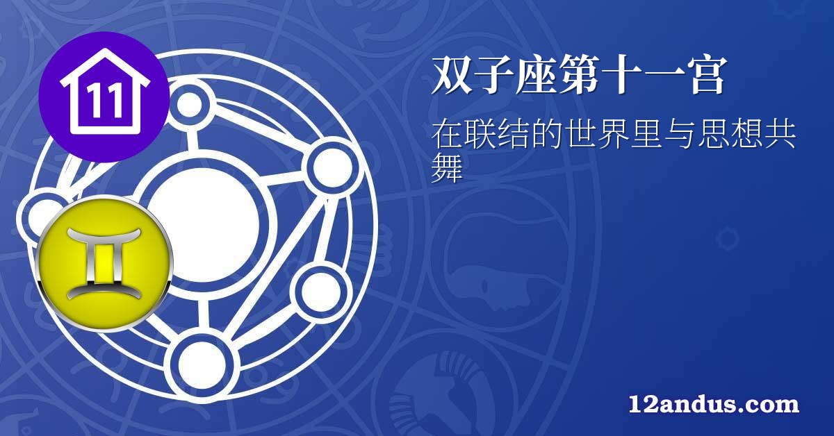 双子座第十一宫