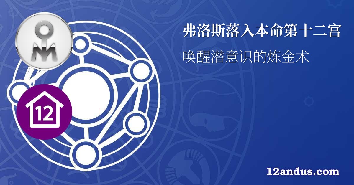 弗洛斯落入本命第十二宫