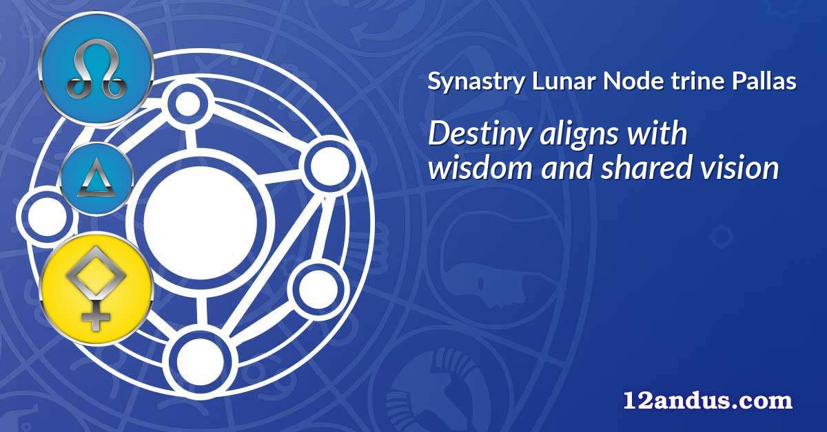 Lunar Node trine Pallas in the synastry chart