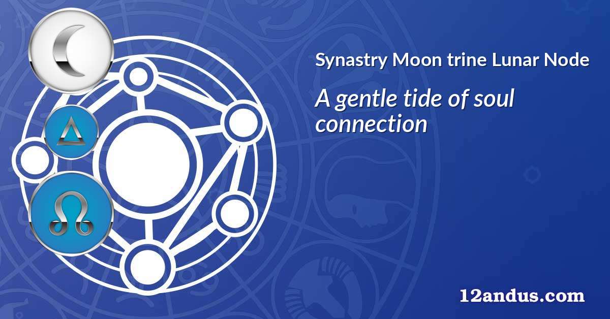 Moon trine Lunar Node in the synastry chart