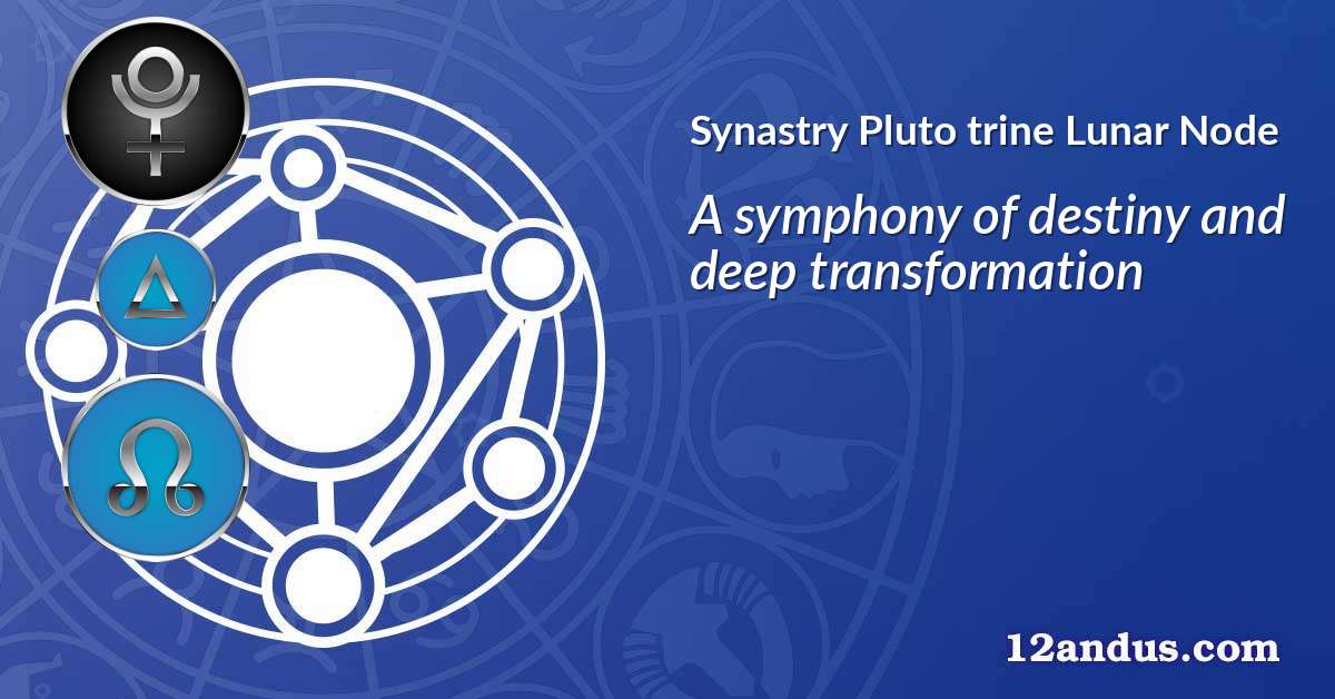 Pluto trine Lunar Node in the synastry chart