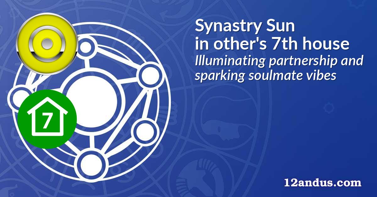 Synastry Sun in the other person's 7th house