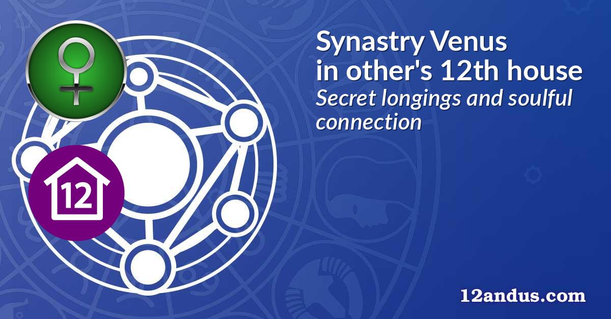 Synastry Venus in the other person's 12th house