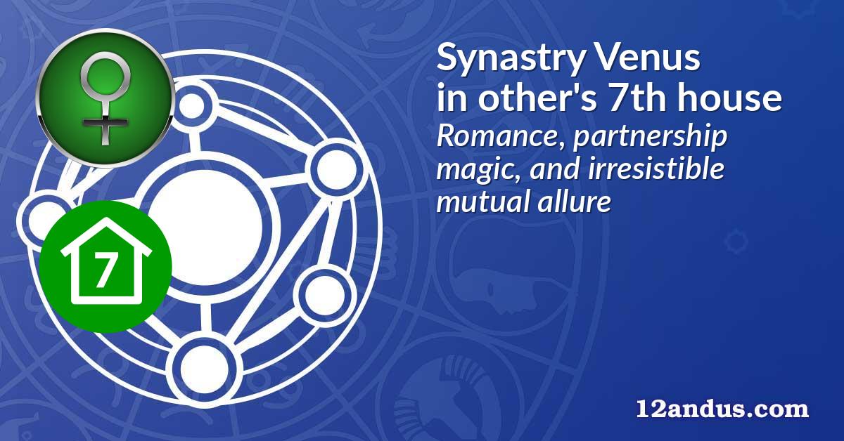Synastry Venus in the other person's 7th house