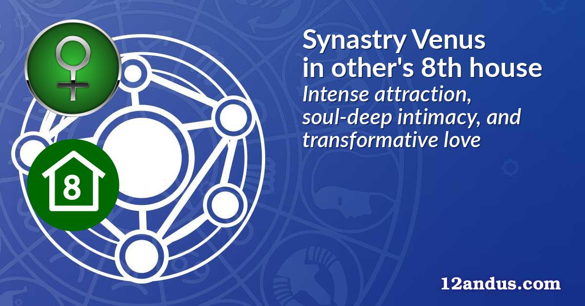 Synastry Venus in the other person's 8th house