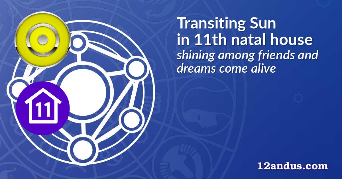 Transiting Sun in the 11th natal house