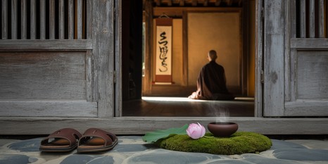 Insights from Thich Nhat Hanh's path