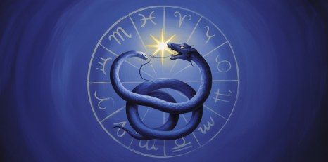 Draconic Chart